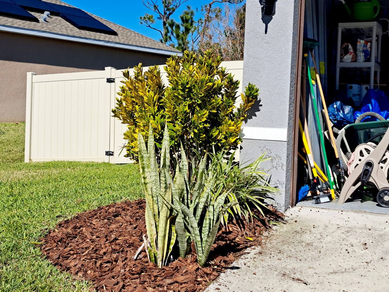 Lawn Care and Pest Management in Valrico, FL