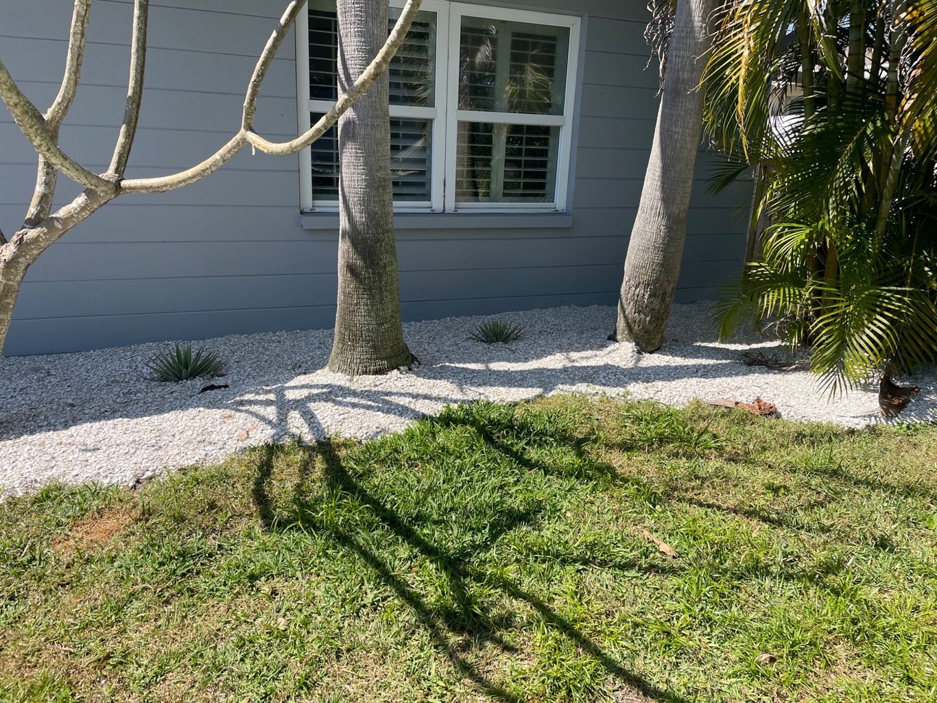 Lawn Care and Pest Management in Valrico, FL