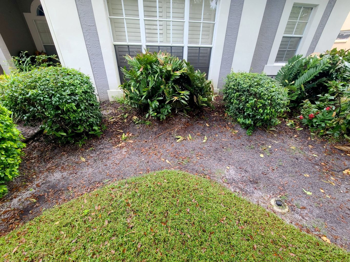 Lawn Care and Pest Management in Valrico, FL