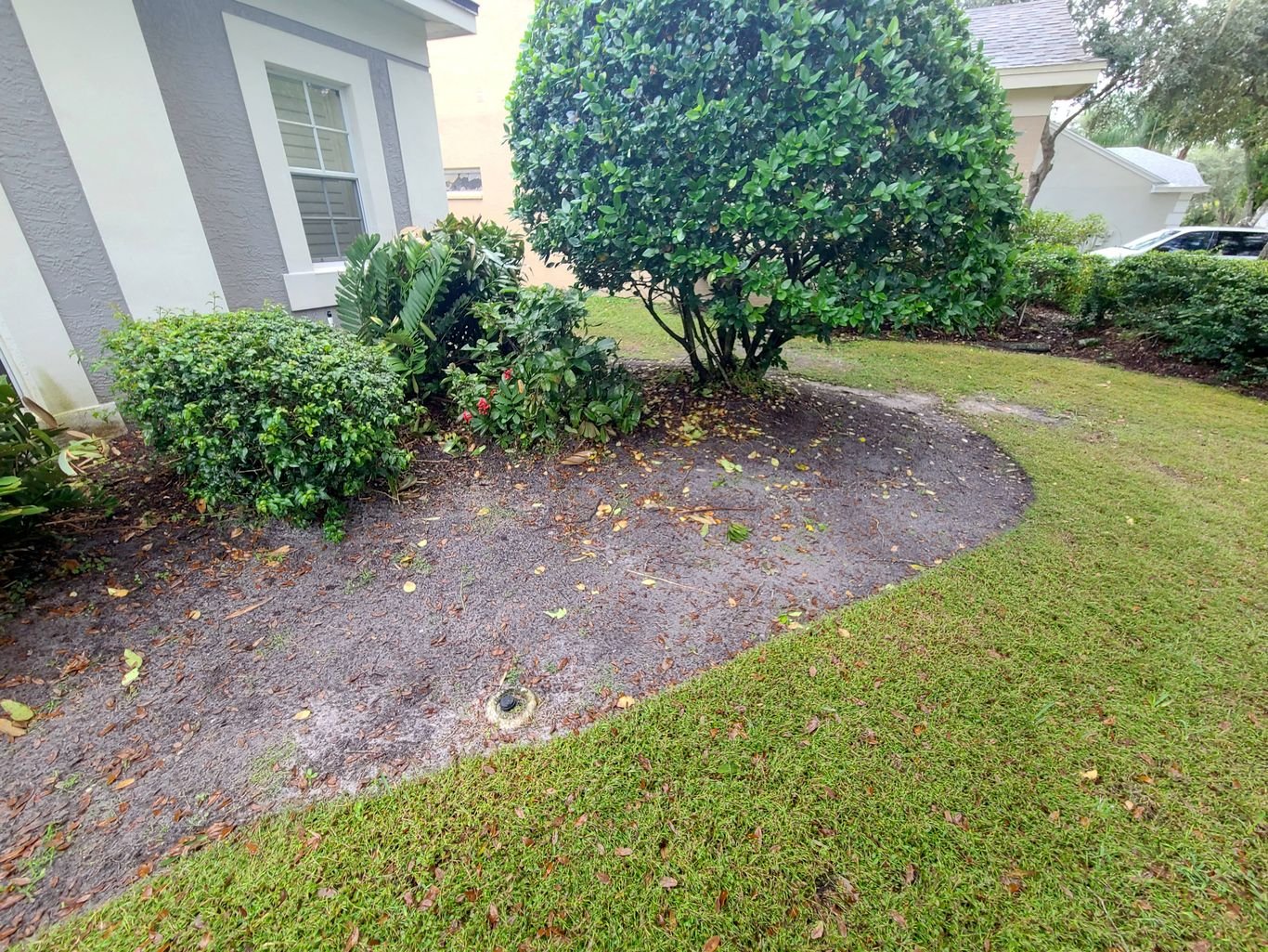 Plants and Natural Pest Control Services Valrico Manor, Valrico, FL