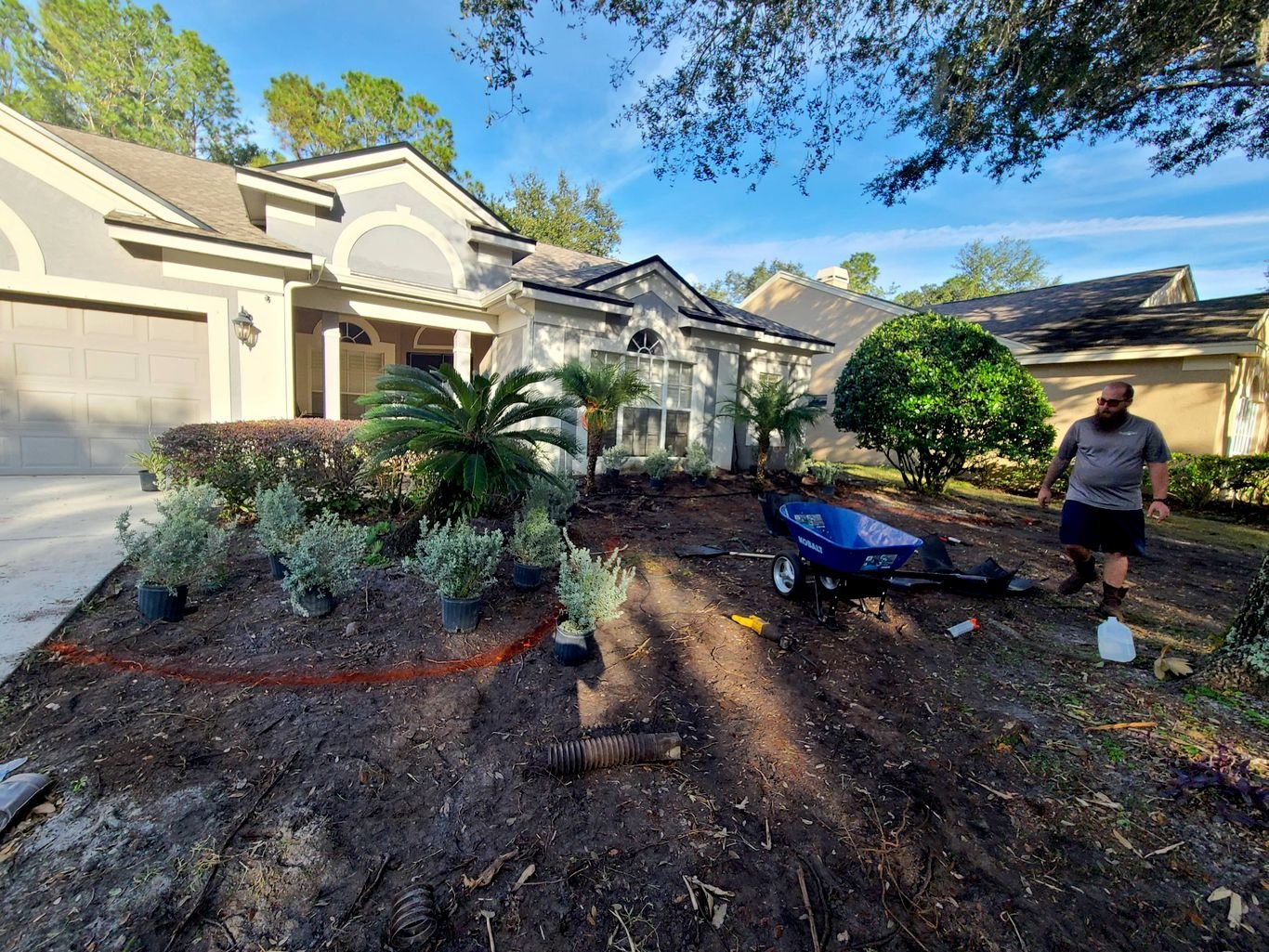 Lawn Care and Pest Management in Valrico, FL