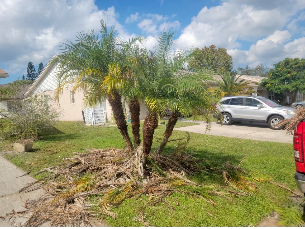 Lawn Care and Pest Management in Valrico, FL