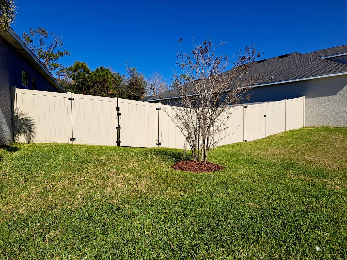 Ornamental Pest Control Services Valrico Manor, Valrico, FL