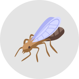 Lawn Care and Pest Management in Valrico, FL