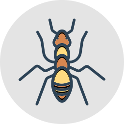 Lawn Care and Pest Management in Valrico, FL