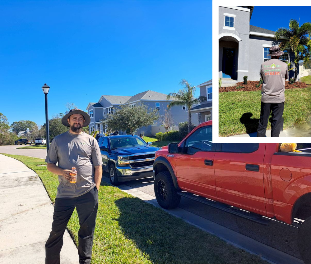 Lawn Care and Pest Management in Valrico, FL